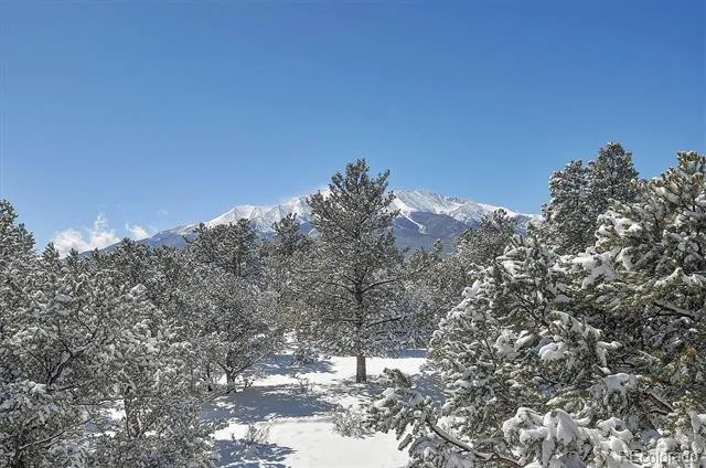 17158 County Road 363 Buena Vista, CO 81211
