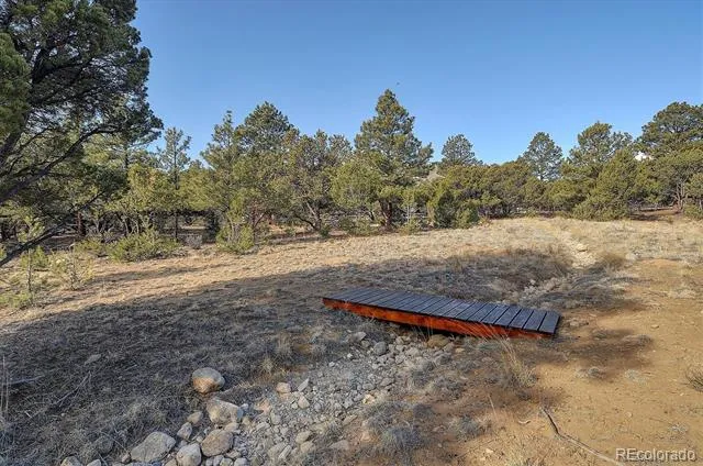 17158 County Road 363 Buena Vista, CO 81211
