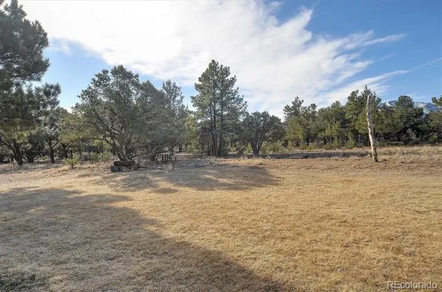 17158 County Road 363 Buena Vista, CO 81211