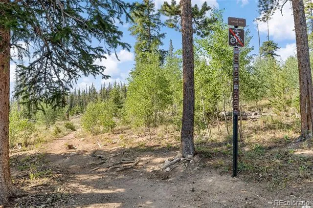 10000 Ryan Gulch Road #G106 Silverthorne, CO 80498