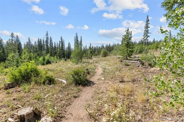 10000 Ryan Gulch Road #G106 Silverthorne, CO 80498