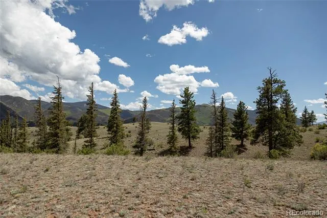 TBD Hwy 149 (B) Creede, CO 81130