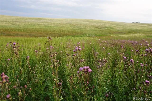 10183 Rolling Vista Trail Elizabeth, CO 80107