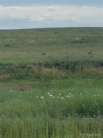 10183 Rolling Vista Trail Elizabeth, CO 80107