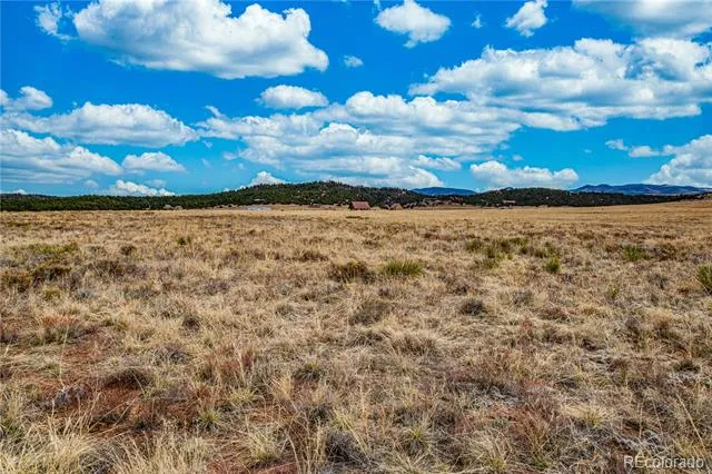 Piper Circle Westcliffe, CO 81252