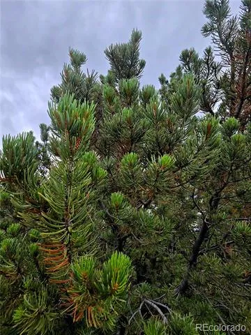 Lot 97 Phase #4 River Ridge Ranch Walsenburg, CO 81089