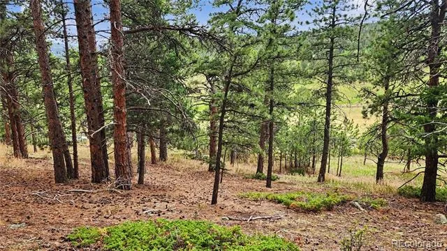 6078 Lone Peak Drive Evergreen, CO 80439