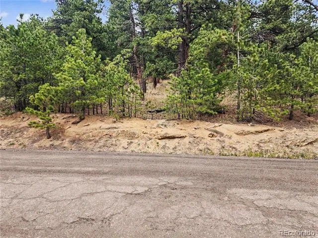 6078 Lone Peak Drive Evergreen, CO 80439