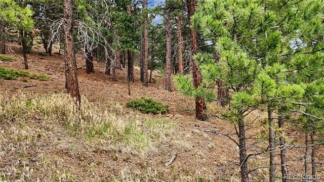 6078 Lone Peak Drive Evergreen, CO 80439