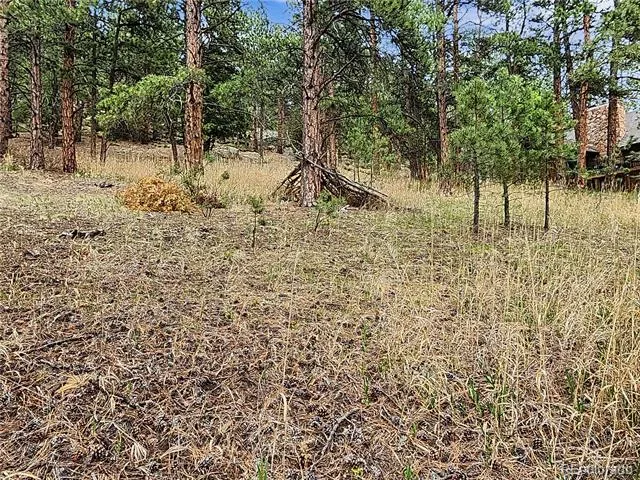 6078 Lone Peak Drive Evergreen, CO 80439