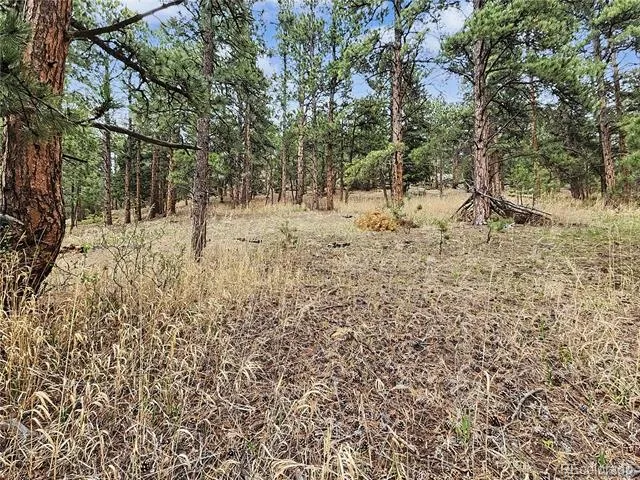 6078 Lone Peak Drive Evergreen, CO 80439