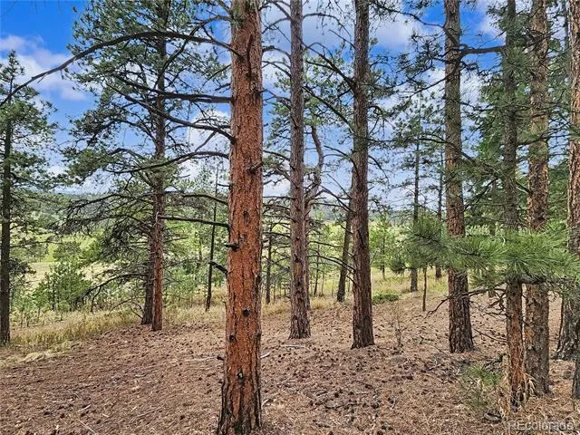 6078 Lone Peak Drive Evergreen, CO 80439