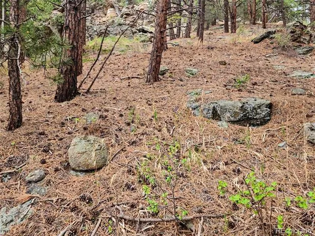 6078 Lone Peak Drive Evergreen, CO 80439