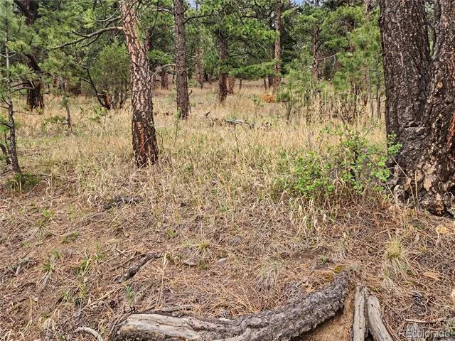 6078 Lone Peak Drive Evergreen, CO 80439