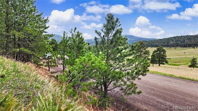 6078 Lone Peak Drive Evergreen, CO 80439