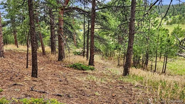 6078 Lone Peak Drive Evergreen, CO 80439
