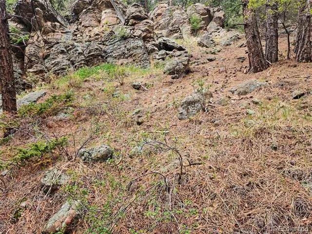 6078 Lone Peak Drive Evergreen, CO 80439