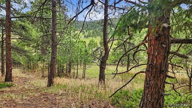 6078 Lone Peak Drive Evergreen, CO 80439
