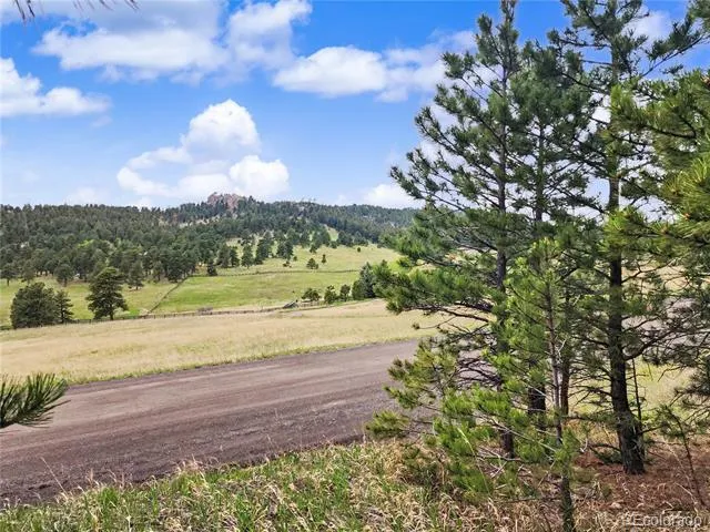 6078 Lone Peak Drive Evergreen, CO 80439