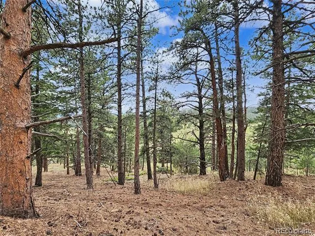 6078 Lone Peak Drive Evergreen, CO 80439
