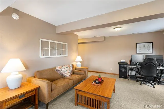 901 Wilson Drive Florissant, CO 80816