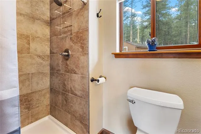 901 Wilson Drive Florissant, CO 80816