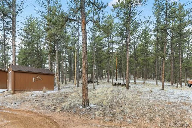 901 Wilson Drive Florissant, CO 80816