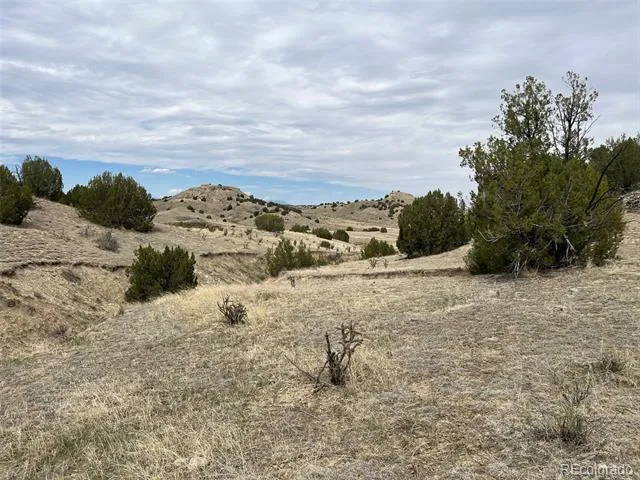 00 Black Horse Drive Pueblo, CO 81004