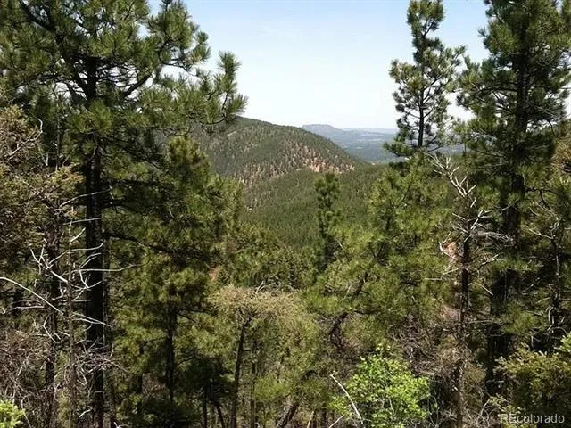 13499 S Firedog Way Larkspur, CO 80118