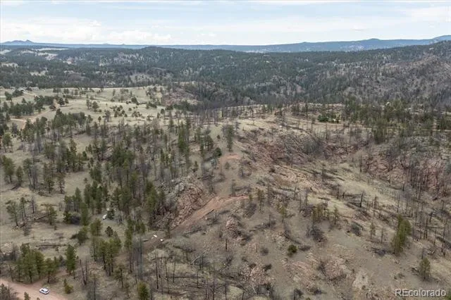 144 Chapparal Trail Florissant, CO 80816