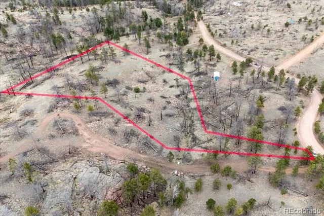144 Chapparal Trail Florissant, CO 80816