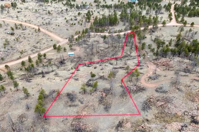 144 Chapparal Trail Florissant, CO 80816