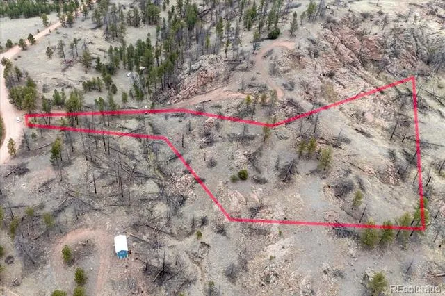 144 Chapparal Trail Florissant, CO 80816