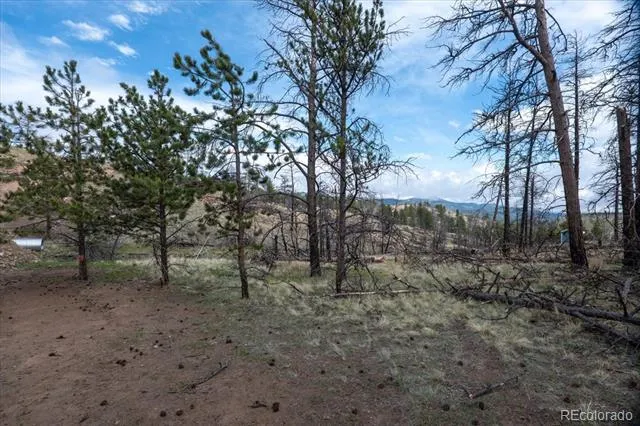 144 Chapparal Trail Florissant, CO 80816