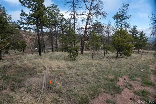 144 Chapparal Trail Florissant, CO 80816