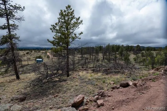 144 Chapparal Trail Florissant, CO 80816