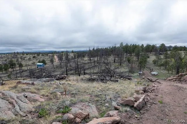 144 Chapparal Trail Florissant, CO 80816