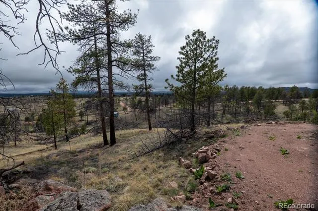 144 Chapparal Trail Florissant, CO 80816