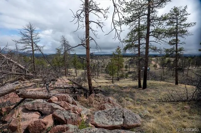 144 Chapparal Trail Florissant, CO 80816