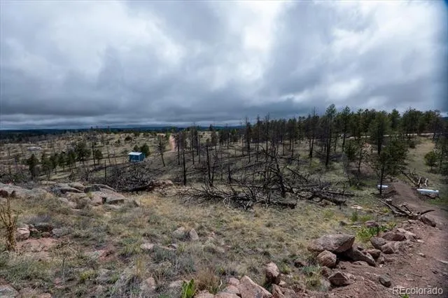 144 Chapparal Trail Florissant, CO 80816