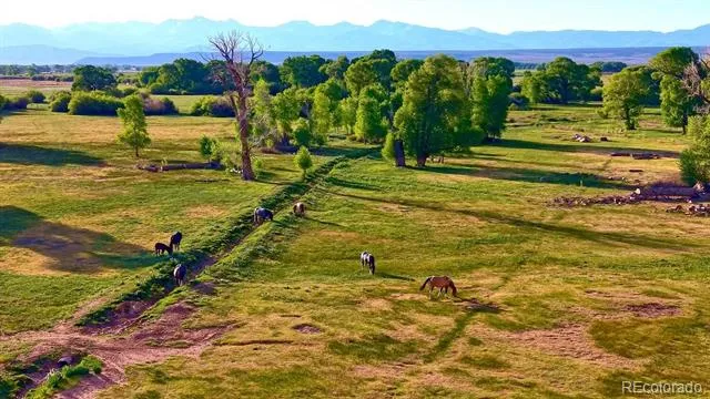 12525 County R.5 Road San Acacio, CO 81120