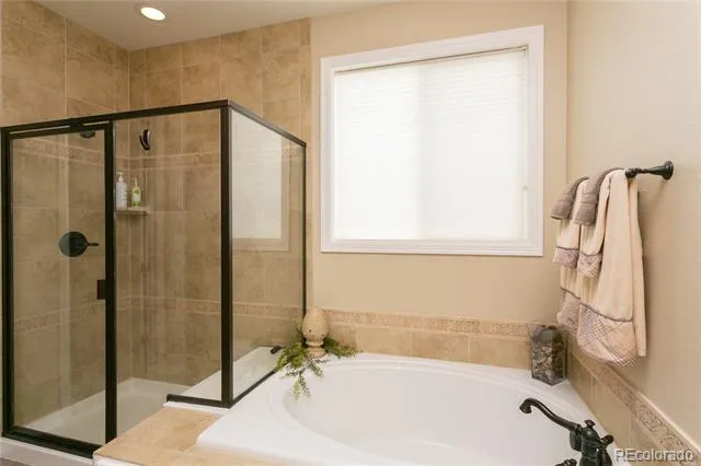6522 Lynch Lane Castle Rock, CO 80108