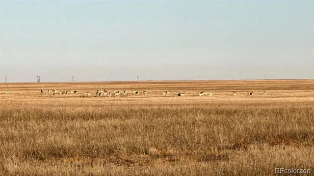 TBD County Road 30 Haswell, CO 81045