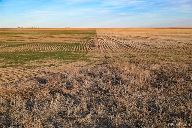 TBD County Road 30 Haswell, CO 81045