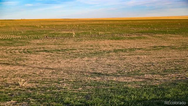 TBD County Road 30 Haswell, CO 81045