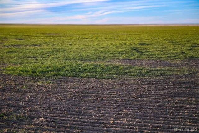 TBD County Road 30 Haswell, CO 81045
