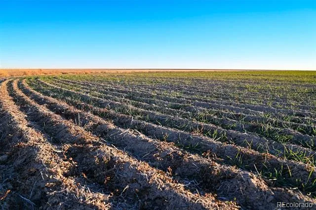 TBD County Road 30 Haswell, CO 81045