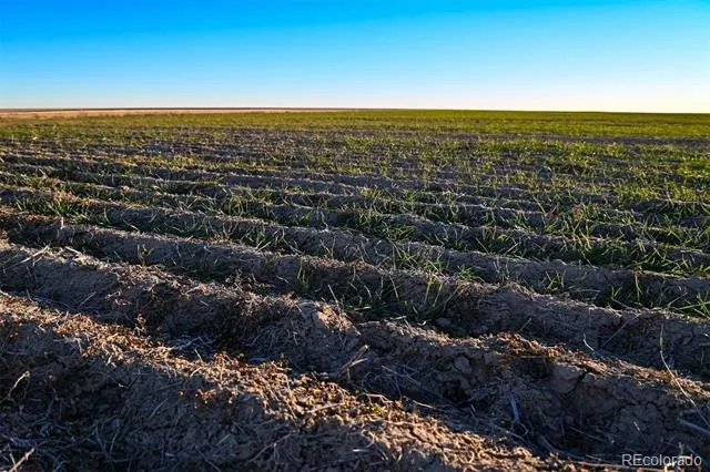 TBD County Road 30 Haswell, CO 81045
