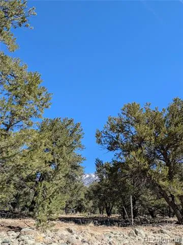 2202 Spanish Creek Road Crestone, CO 81131