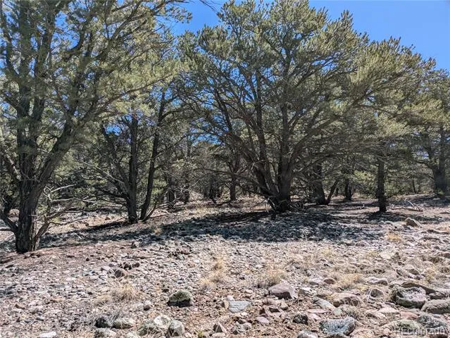2202 Spanish Creek Road Crestone, CO 81131